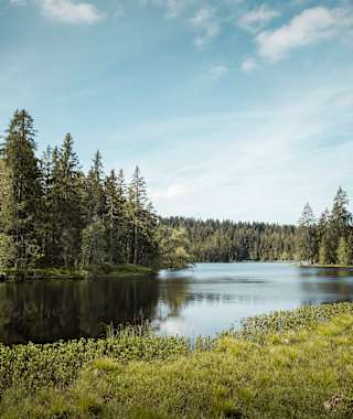 Moorsee Etang de la Gruère morgens