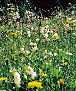 Von Ampass am Kaspar-Sautner-Weg