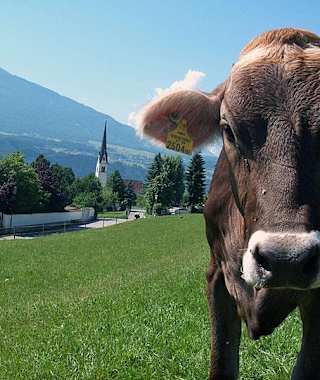 Von Rum auf dem Naturerlebnisweg