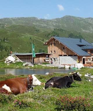 Lizumer Hütte, 2.019 m