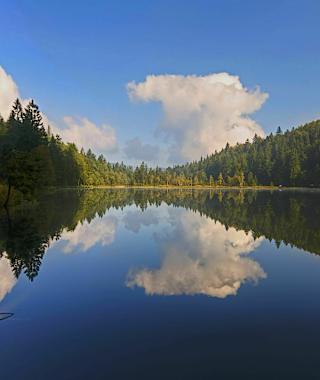 inzell sommer frillensee panorama