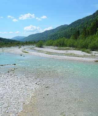 Die Isar - ein echter Wildfluss