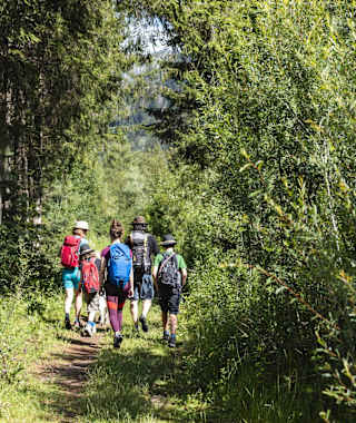 Üppige Vegetation begleitet die Ufer der Isel.