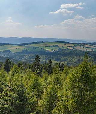 Ausblick vom Raabeturm