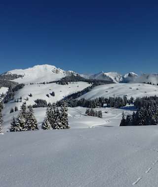 Winterandschaft am Rundweg Jaunpass - Oberenegg