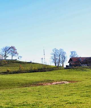 Johannishögl - Pidinger Bienenweg