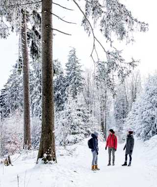 Wanderung zum Kickelhahn