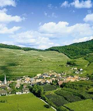 Am Kaiserstuhlpfad- Dorf