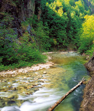 Kalkalpenweg - Etappe 3: Von der Anlaufalm auf die Ebenforstalm
