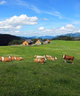Herrliches Panorama bei der Ebenforstalm