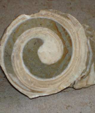 Kalkalpenweg - Etappe 5 :Von Windischgarsten auf die Gowilalm