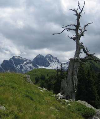 Kammwanderung Fotschertal ab Sellrain mit Blick auf die Kalkkögel