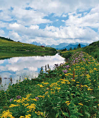 Der natürlich entstandene Schlappoldsee ist ein herrliches Kleinod.