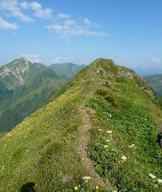 Am Karnischen Höhenweg