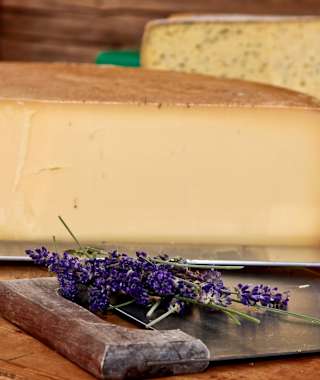 Köstlicher Käse auf der Sennerei Schweizerhütte