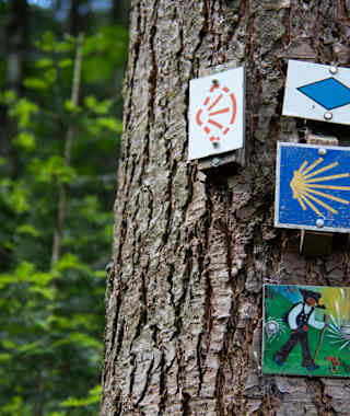 Kinzigtäler Jakobusweg