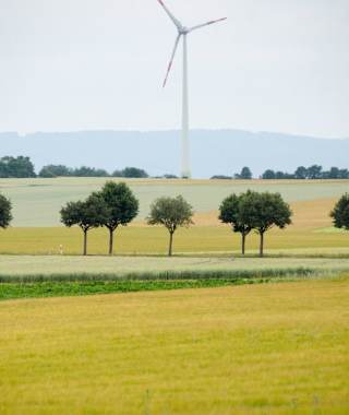 Blick Richtung Mainz
