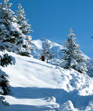 Beliebt bei Pulver und Firn, der Anstieg zum Pfuitjöchl.