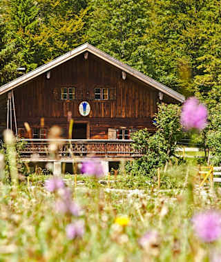 Die Selbstversorgerhütte Kloaschaualm (887 m) liegt in den Schlierseer Bergen im Mangfallgebirge