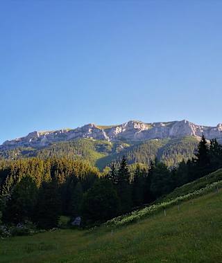 Morgenstimmung auf der Kogleralm