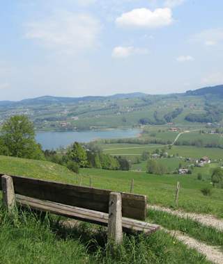 Kolomansberg Rundweg