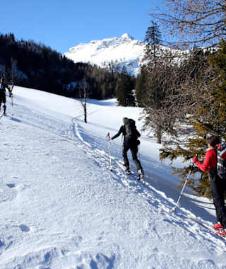 Lichtung nach der Nappenbachklause Richtung Kräuterinhütte, im Hintergrund der Fadenkamp