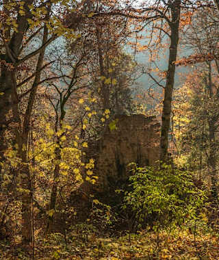 Die Ruine Kraftstein versteckt sich im Wald