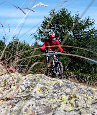 Nach einer anstrengenden Auffahrt auf Forststraßen heißt es Tragen oder Schieben, nur wenige Meter am Wanderweg kann man bergauf fahren. Selbst bei großer Motivation *g*