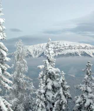 Blick hinüber zur Rax vom Kreuzschober