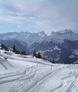 Feine Pulverabfahrten