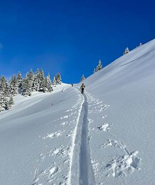 Über perfektes Almgelände auf den Kuhkaser