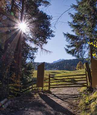 Kultur, Sightseeing, Natur und Abenteuer am „The Sound of Music Trail“ in Werfen.