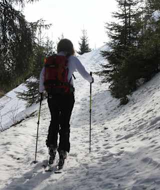 Aufstieg durch den Wald.....