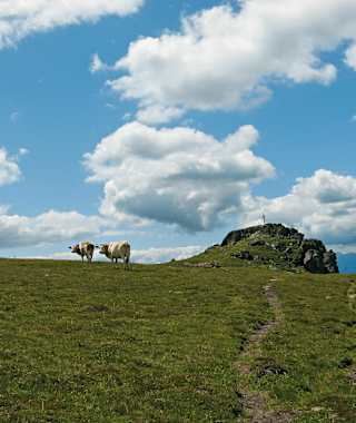 Ladinger Spitz über die Offnerhütte, Große Saualpe