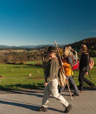 Wandern rund um den Längsee