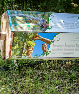 Leitacher Weinwanderweg Klausen