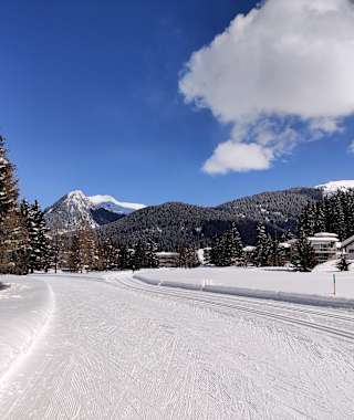 Durch Davos mit den Langlaufskiern gleiten