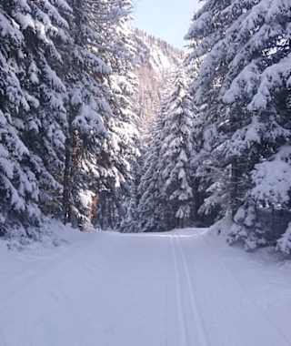 Romantikloipe Kals am Großglockner in Osttirol