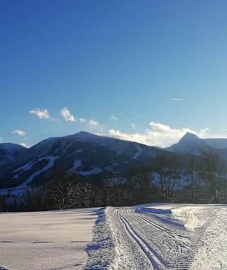 Langlaufrunde um den Kulmberg - sonnig und aussichtsreich