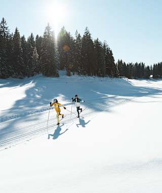 Langlaufen in der Region Seefeld - Klassisch - B3 Wildmoossee