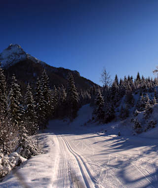 Die Langlaufloipe in Steinberg am Rofan