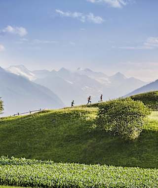 Läufer mit Gletscherblick zwischen Patsch und Igls