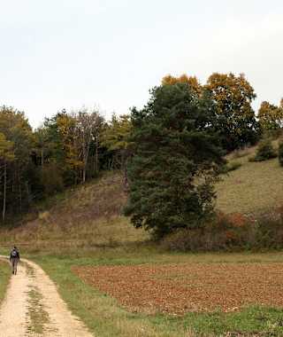 Rechts neben dem Hochsitz führt ein Pfad abwärts.
