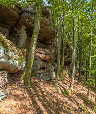 Lemberger Flössertour