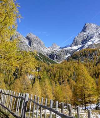 Bei der Kerschbaumer Alm