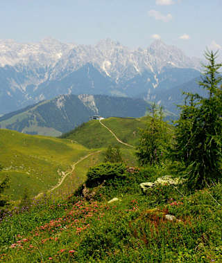 Loferer Steinberge mit Almwiesen bei Fieberbrunn