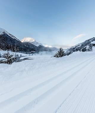 Langlaufen auf der Loipe Scuol-Martina.