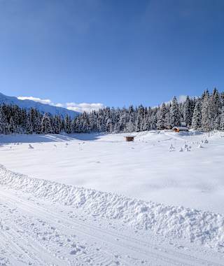 Loipe bei der Lottenseealm