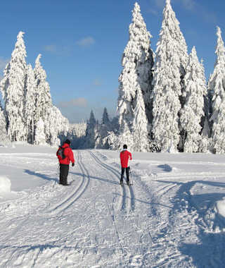 Auf der Kohlwaldrunde