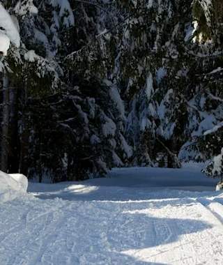 Loipe Unterautal bei Achenkirch am Achensee